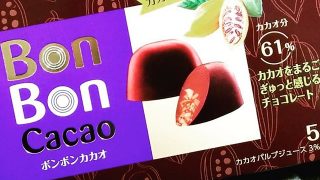 カカオパルプジュースやカカオニブが入った、森永製菓「BonBon cacao(ボンボンカカオ)」